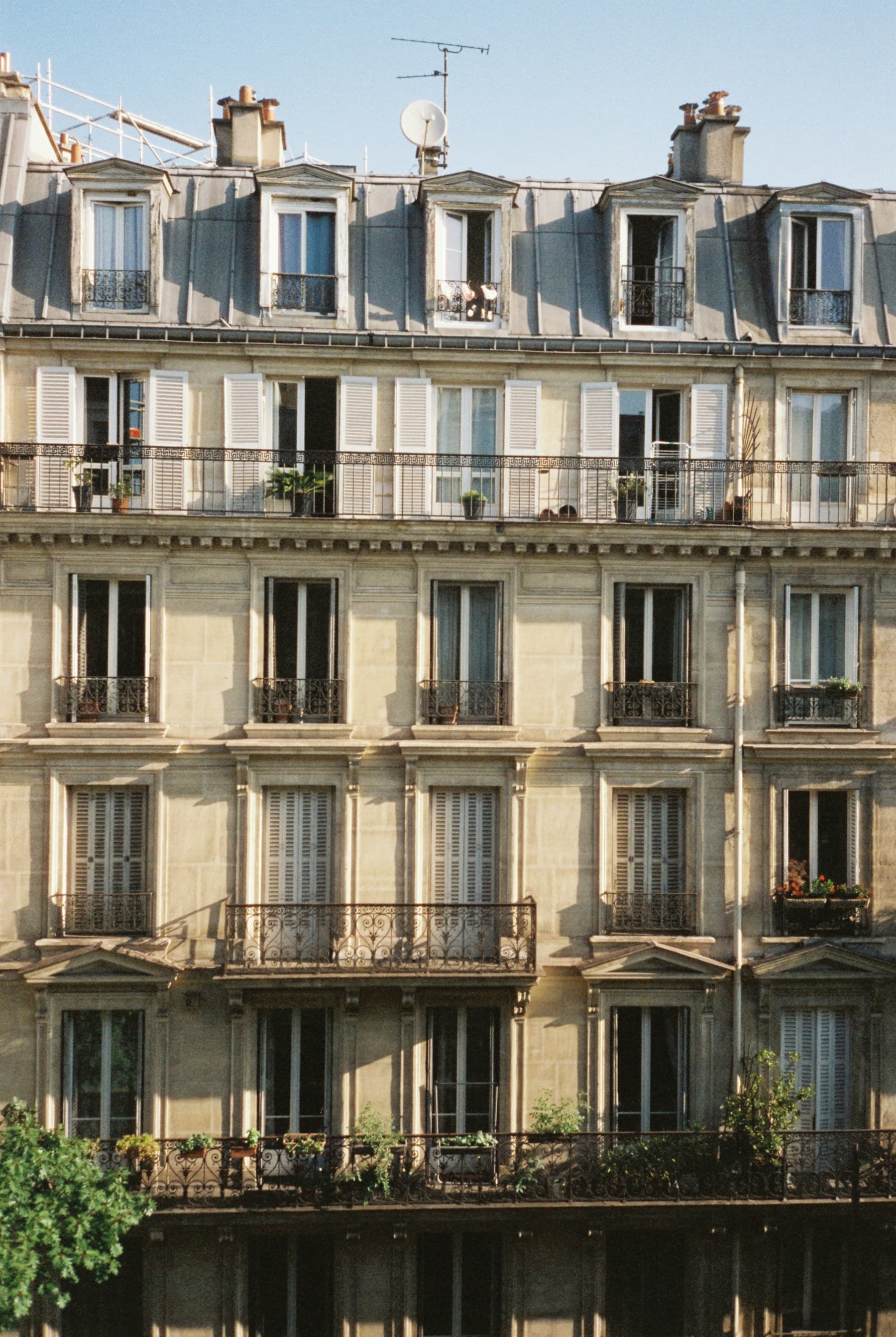 Haussmann frontage, wrought iron balconies, low sunlight